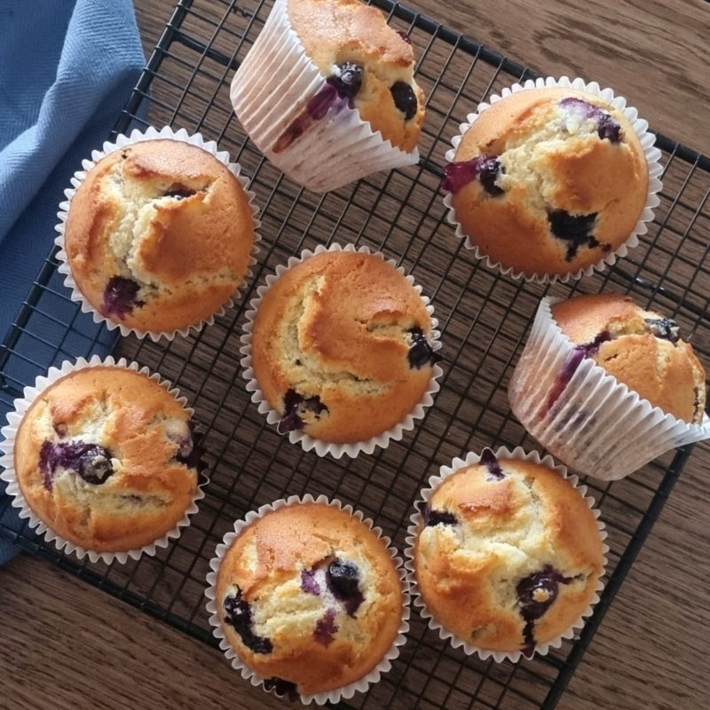 Ultimate Blueberry Muffins