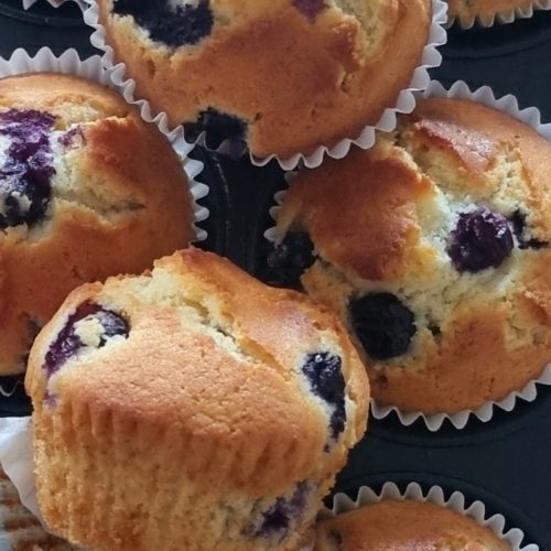 Blueberry Muffins