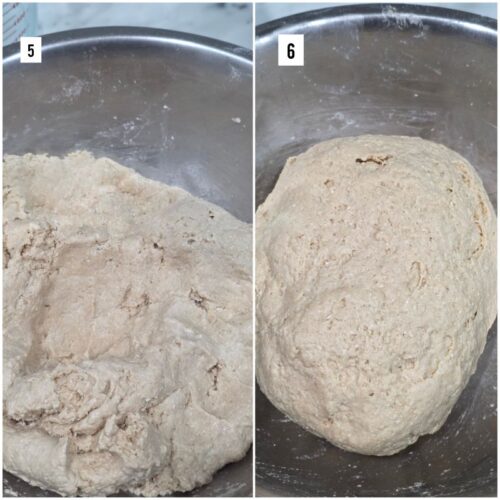 Elephant Roti Easy Roti (Flatbread)- Step by Step Guide